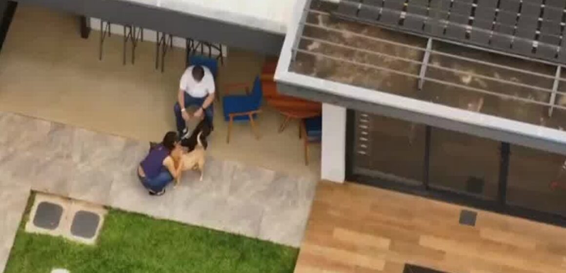 Bolsonaro deixa hospital e é flagrado em momento descontraído em casa
