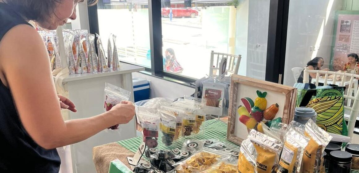 Festival Feira Viva ocupa o Centur com programação gratuita e sustentável nos dias 7 e 8 de março
