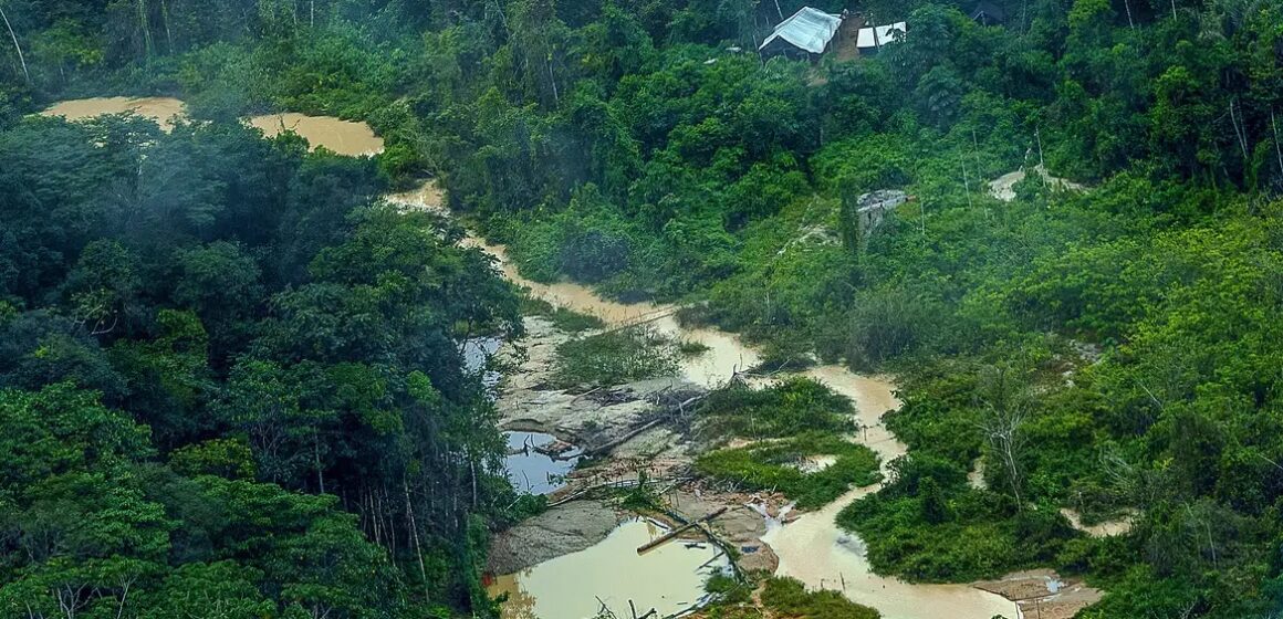 MPF investiga mineradoras e empresas estrangeiras por extração ilegal de cassiterita na Terra Yanomami