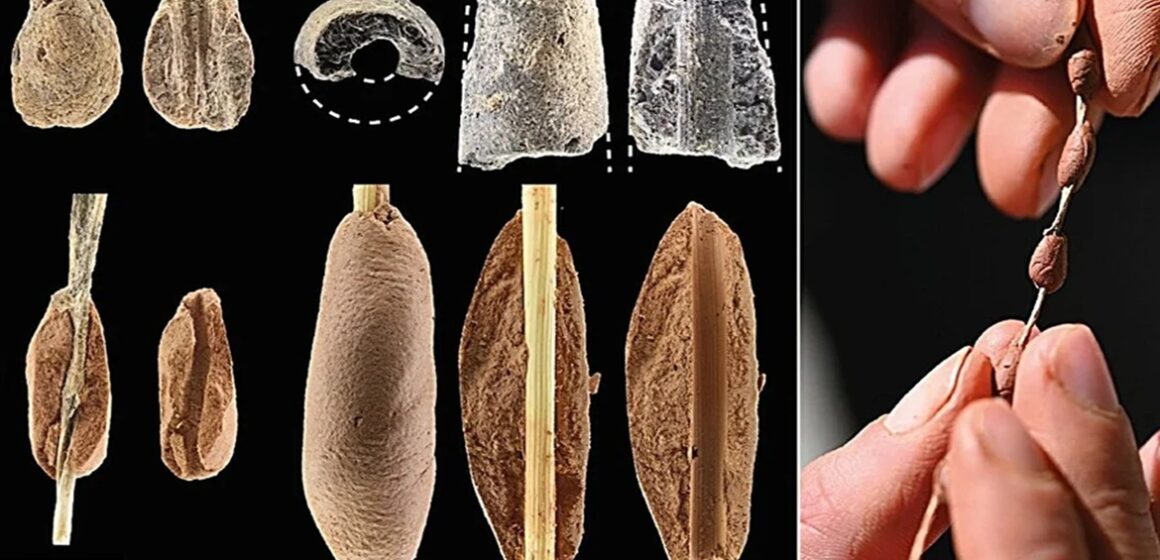 Estudo revela que povo natufiano já produzia objetos de argila há 15 mil anos no Levante
