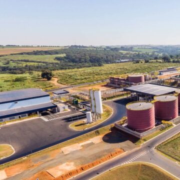 Grupo colombiano Daabon adquire operações da Agropalma no Pará e fortalece presença no Brasil