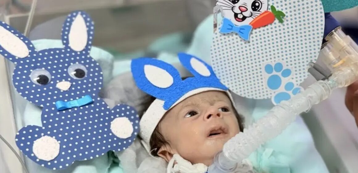 UTI Neonatal do Hospital de Clínicas promove ensaio fotográfico de Páscoa com bebês internados em Belém
