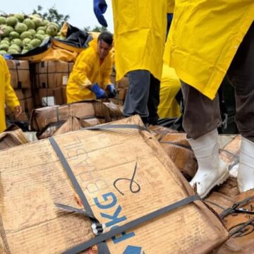 Mais de 9 toneladas de pescado irregular são inutilizadas no Pará