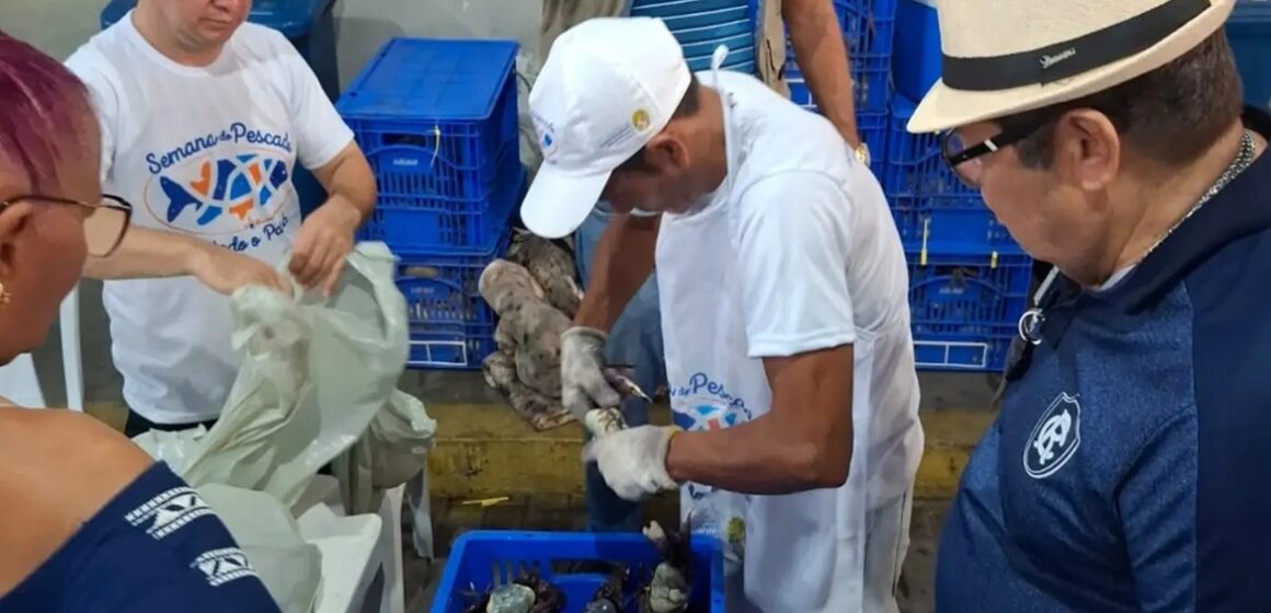 Caranguejo sustentável é um dos produtos mais procurados na Semana do Pescado no Pará