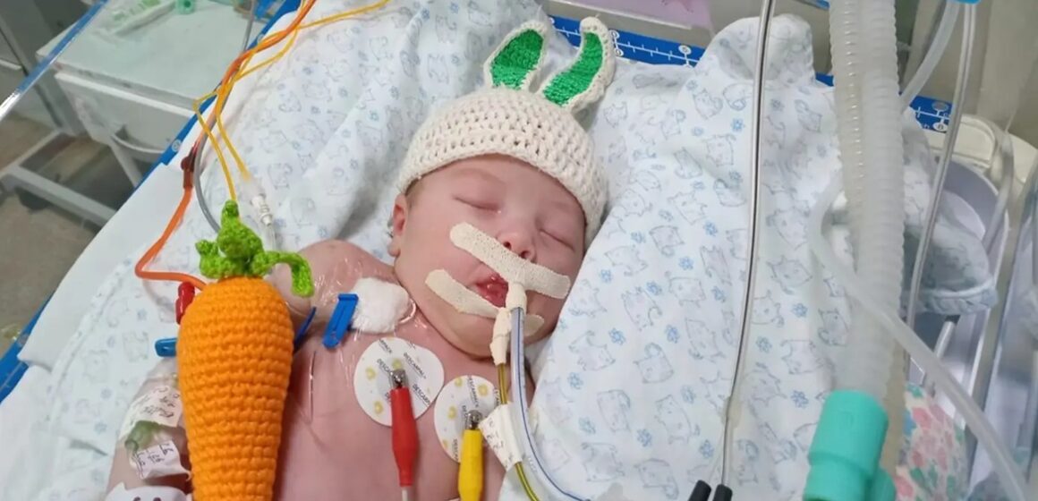 Ensaio fotográfico da Páscoa leva esperança a bebês prematuros em UTI Neonatal de Marabá