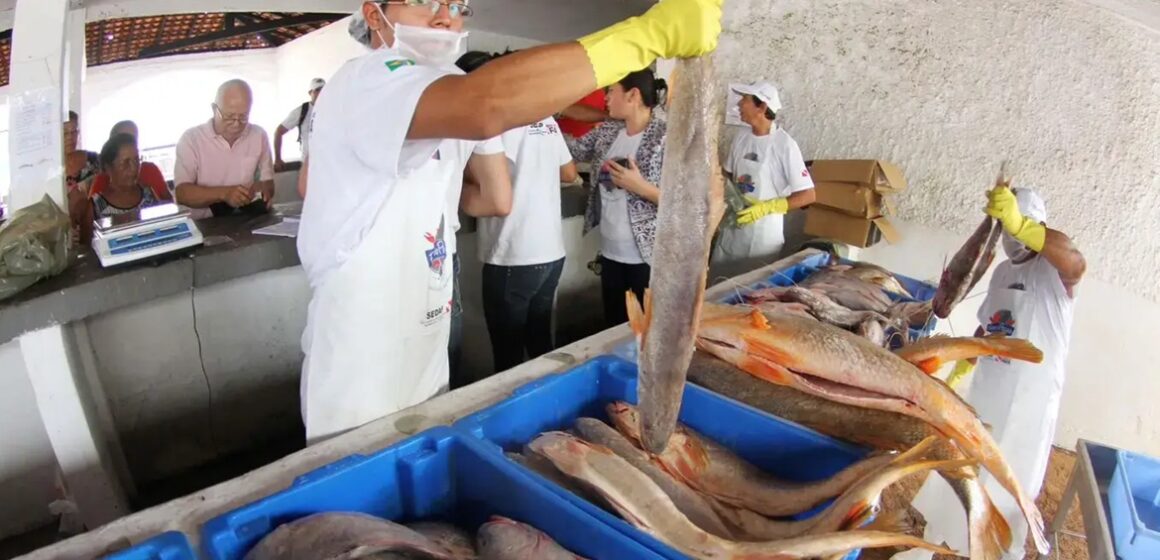 20260406130559-GC00076132-F00298449 Semana do Pescado beneficia 40 mil consumidores com 400 toneladas de produtos no Pará