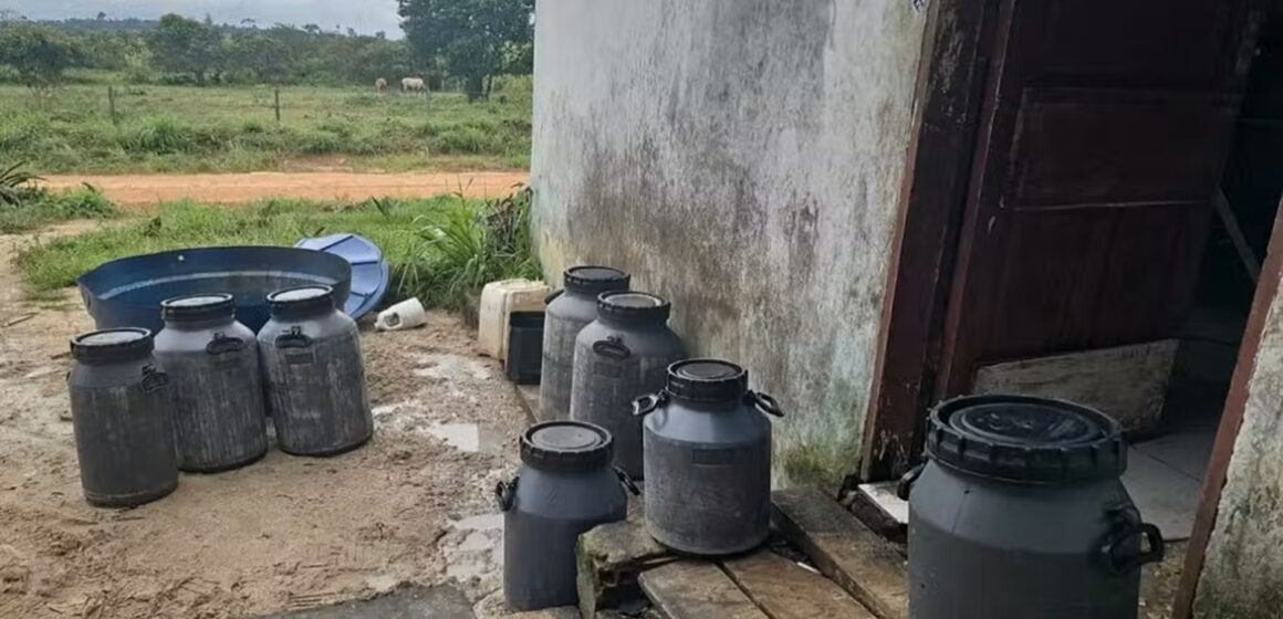 Operação da Adepará interdita três queijarias clandestinas no sudeste do Pará