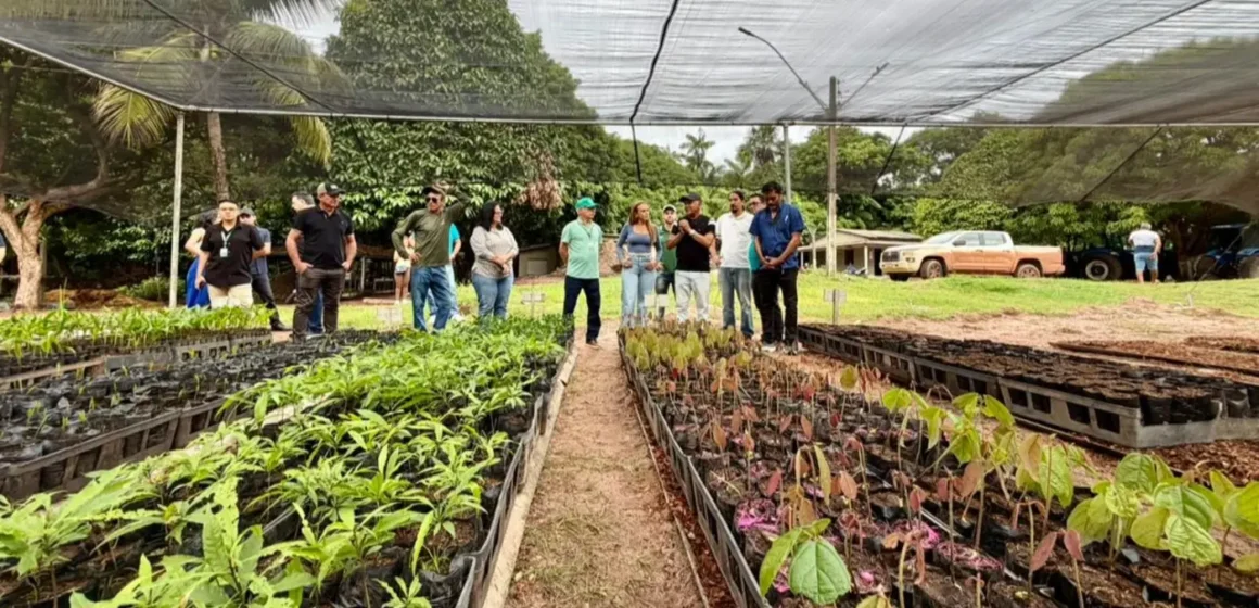 Ideflor-Bio inaugura novas unidades em Marapanim, Bragança e Tailândia com viveiros de até 20 mil mudas