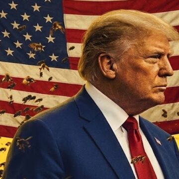 Trump rejeita proposta do Irã para encerrar conflito e mantém tensão internacional