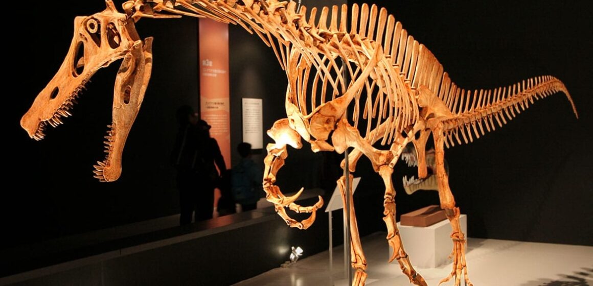 Brasil recupera fóssil de dinossauro roubado após três décadas