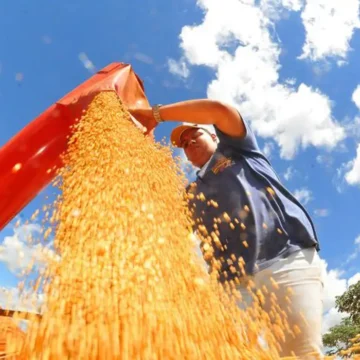 Colheita da soja brasileira chega a 92% e mercado volta atenção ao clima para o milho safrinha