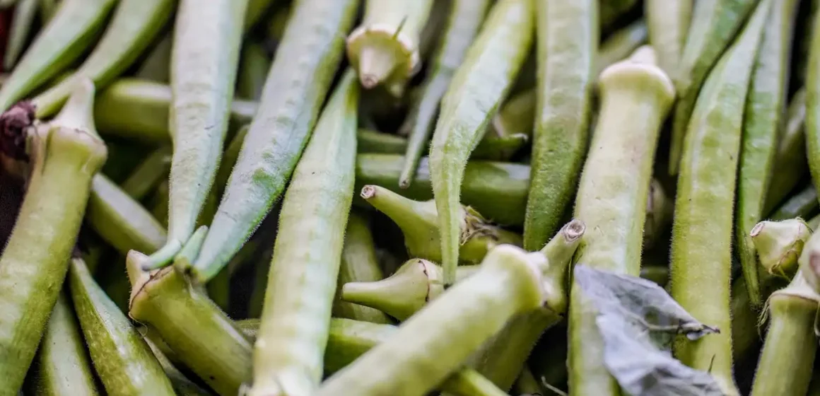 Governo federal libera pagamento do Garantia-Safra para agricultores de 10 estados em abril