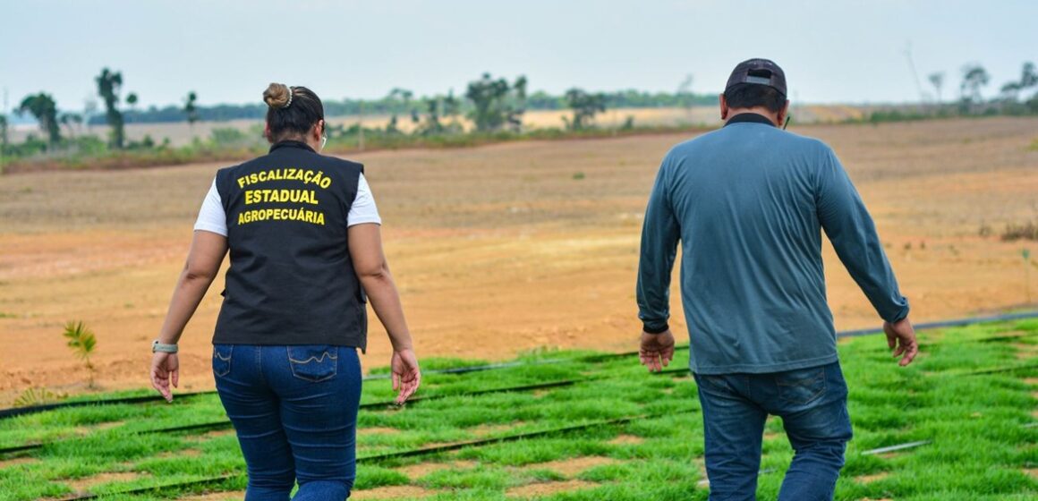 Novo PSS da Adepará oferta 16 vagas para contratação temporária em 13 municípios do Pará