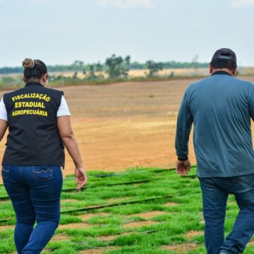 18099_1502b314-1c8e-abb2-d551-a9d19b39b963 Novo PSS da Adepará oferta 16 vagas para contratação temporária em 13 municípios do Pará