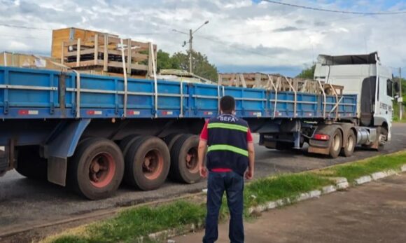 Sefa apreende cargas irregulares de mineração e pescado no Pará
