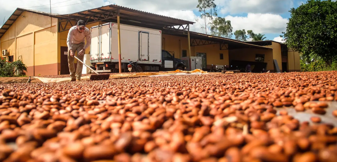 20260521185328-GC00077416-F00306436 Bioeconomia movimenta R$ 13,5 bilhões por ano no Pará, revela estudo da Fapespa