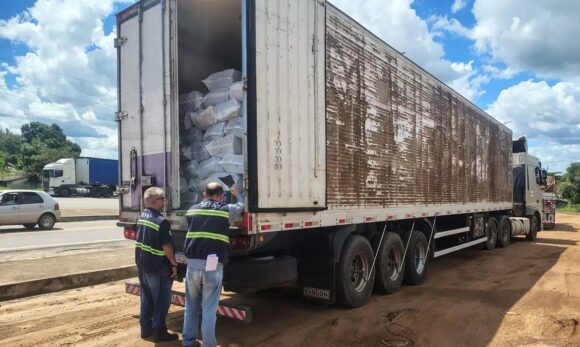 Sefa apreende 30 toneladas de polpa de açaí irregular no nordeste do Pará