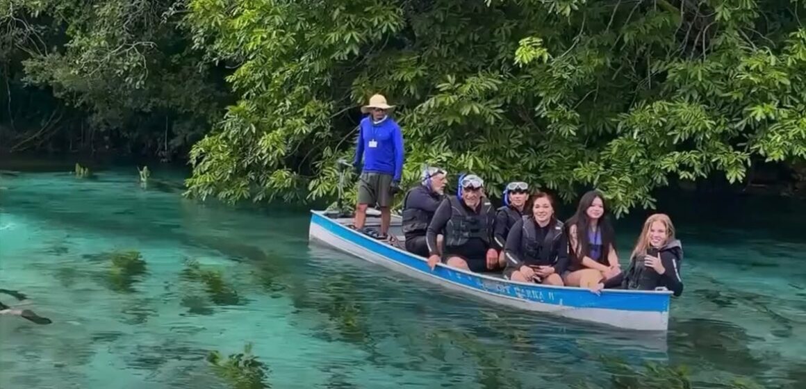 Rio Sucuri se destaca como um dos rios mais transparentes do mundo e reforça turismo sustentável