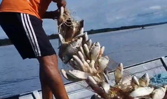 Grande cardume chama atenção de pescadores no Rio Tapajós, em Itaituba