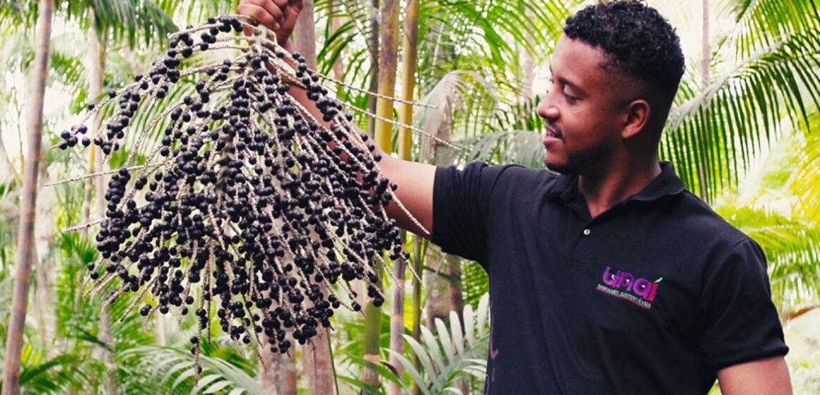 Da Amazônia ao mundo: paraense de 25 anos transforma caroço de açaí em biopainéis e vence bolsa internacional