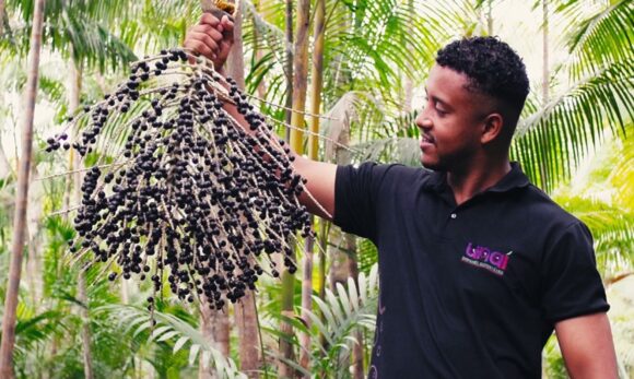 Da Amazônia ao mundo: paraense de 25 anos transforma caroço de açaí em biopainéis e vence bolsa internacional