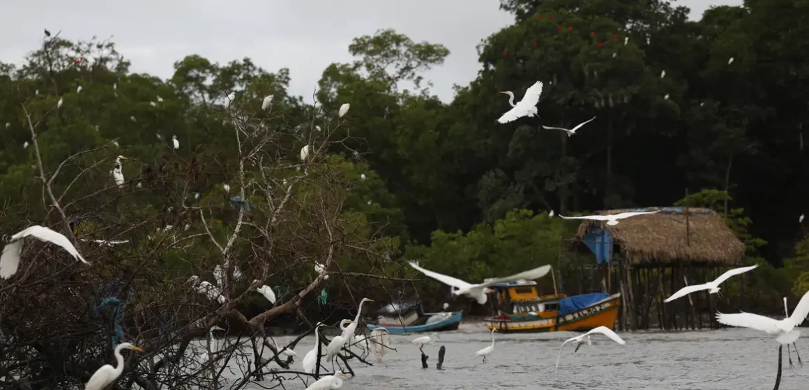 Governo lança programa Amazônia Soberana para combater crimes organizados em áreas de fronteira e proteger comunidades tradicionais