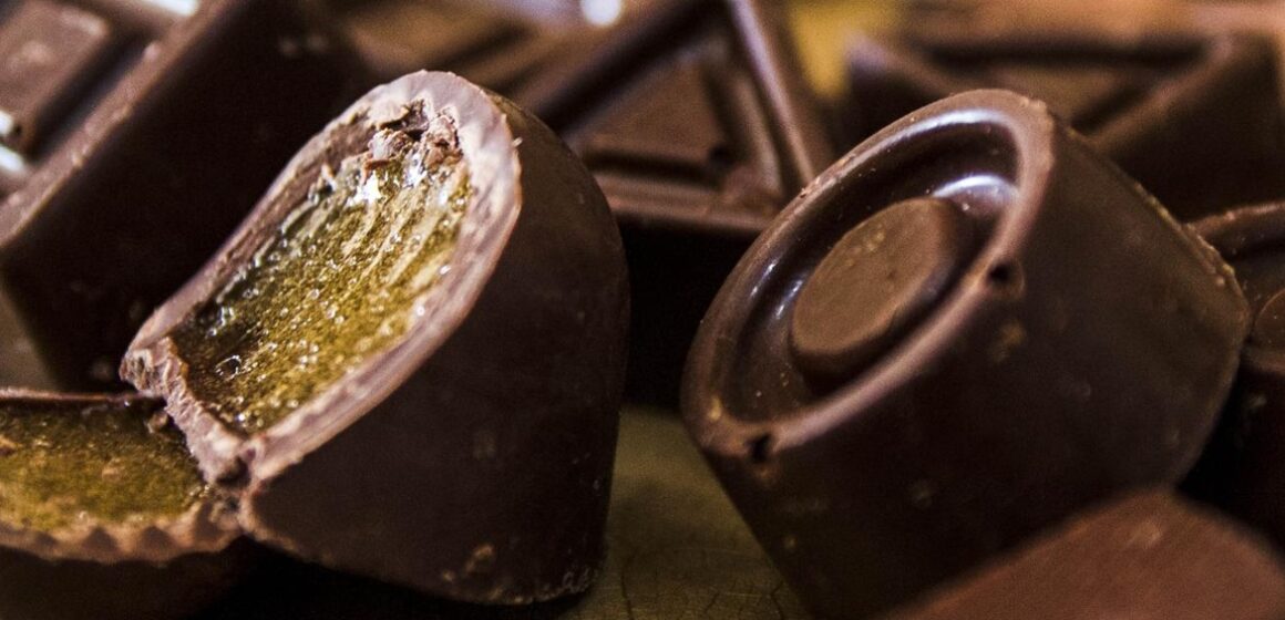 Chocolate produzido com cacau indígena do Pará recebe prêmio internacional