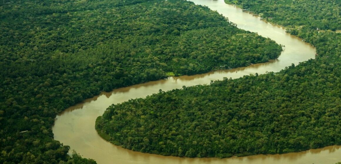 Fapespa integra chamada de R$ 107,1 milhões para pesquisa e inovação na Amazônia