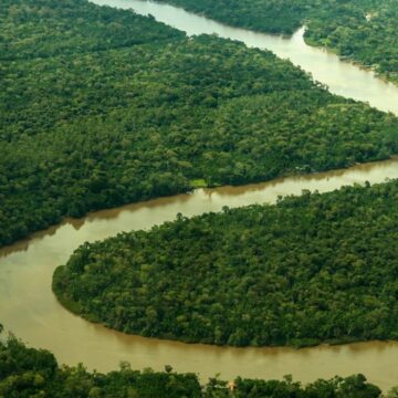 Fapespa integra chamada de R$ 107,1 milhões para pesquisa e inovação na Amazônia
