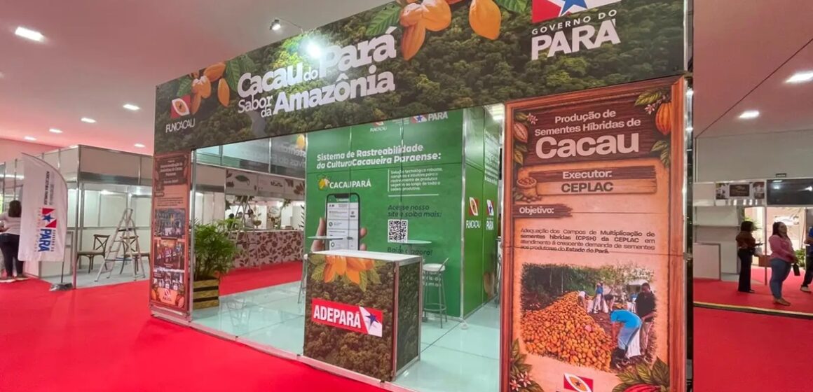 Chocolat Xingu em Altamira estima atrair multidão e movimentar milhões na economia regional