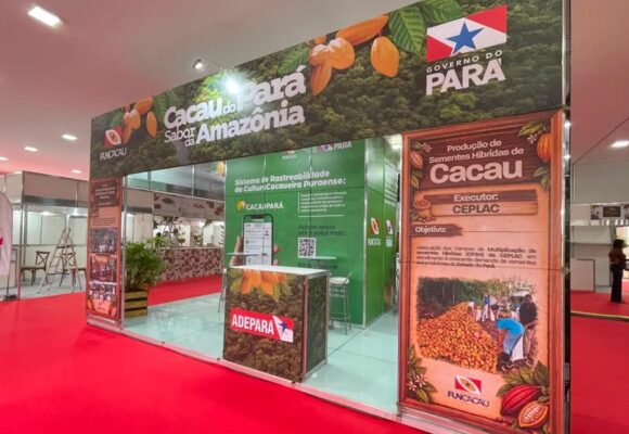 Chocolat Xingu em Altamira estima atrair multidão e movimentar milhões na economia regional
