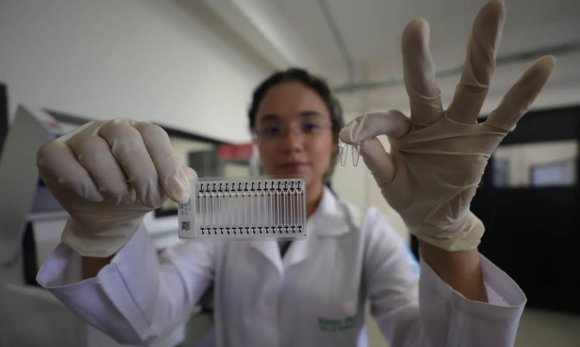 20260615183142-GC00078100-F00310543 Pará investe mais de R$ 40 milhões em inovação e tecnologia na Amazônia