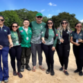 Projeto Quelônios do Araguaia devolve mais de 3 mil animais ao rio e fortalece preservação da biodiversidade