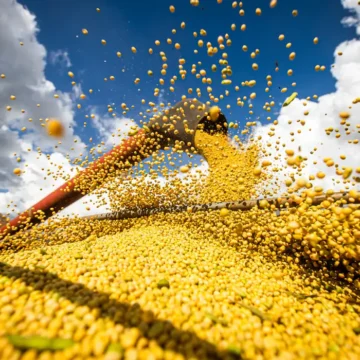 Previsão de colheita agrícola no Brasil aponta volume recorde para a atual temporada
