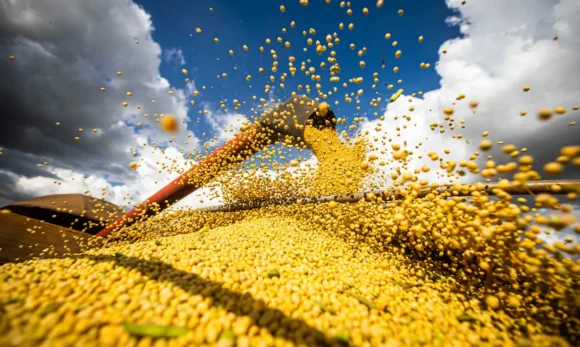 Previsão de colheita agrícola no Brasil aponta volume recorde para a atual temporada