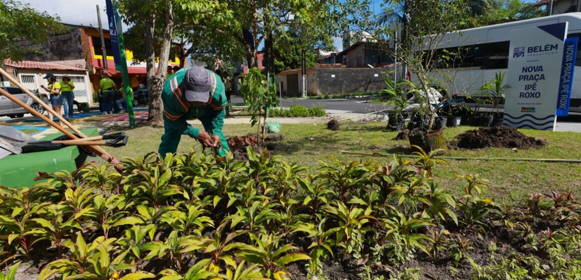 Belém atinge 20 mil mudas plantadas no primeiro semestre e acumula 30 mil desde 2025 com programa Belém Mais Verde