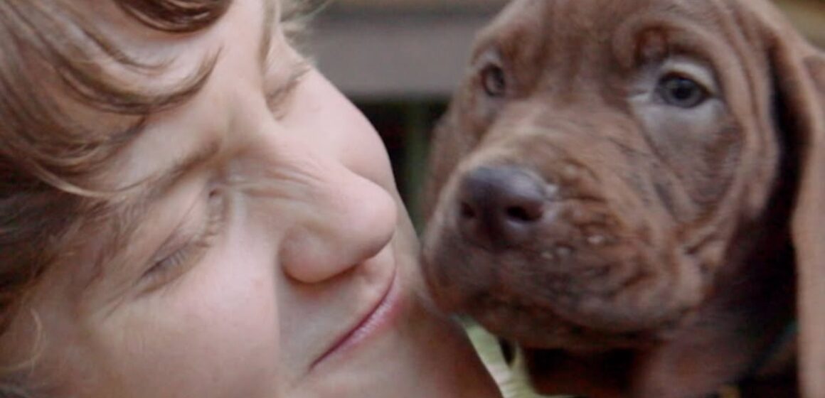 Netflix divulga primeiro teaser de série live-action de Scooby-Doo e revela visual do personagem