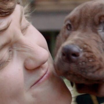 Netflix divulga primeiro teaser de série live-action de Scooby-Doo e revela visual do personagem