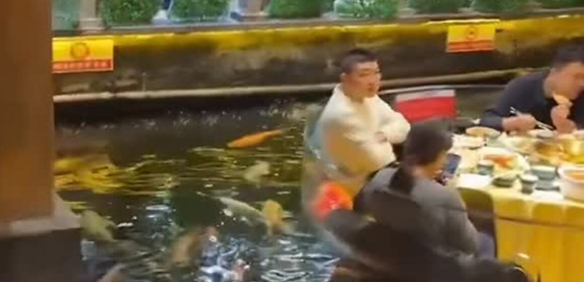 Restaurante na China viraliza ao oferecer refeições em plataformas cercadas por peixes