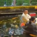 Restaurante na China viraliza ao oferecer refeições em plataformas cercadas por peixes