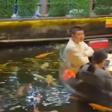 SaveClip.App_720602389_1224162729704049_242343809534208583_n Restaurante na China viraliza ao oferecer refeições em plataformas cercadas por peixes