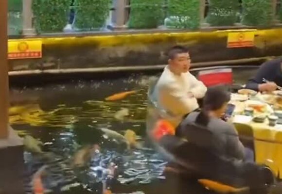 SaveClip.App_720602389_1224162729704049_242343809534208583_n Restaurante na China viraliza ao oferecer refeições em plataformas cercadas por peixes