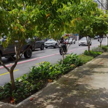 Prefeitura de Belém e Cerpa apresentam maior Jardim de Chuva da capital na avenida Marechal Hermes