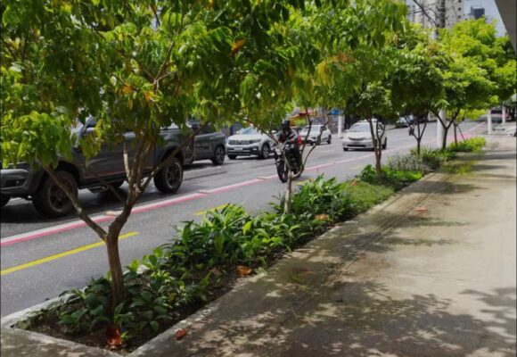 Prefeitura de Belém e Cerpa apresentam maior Jardim de Chuva da capital na avenida Marechal Hermes