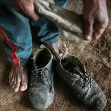 Senado aprova proteção a trabalhadores resgatados de trabalho escravo, com seis parcelas de seguro-desemprego