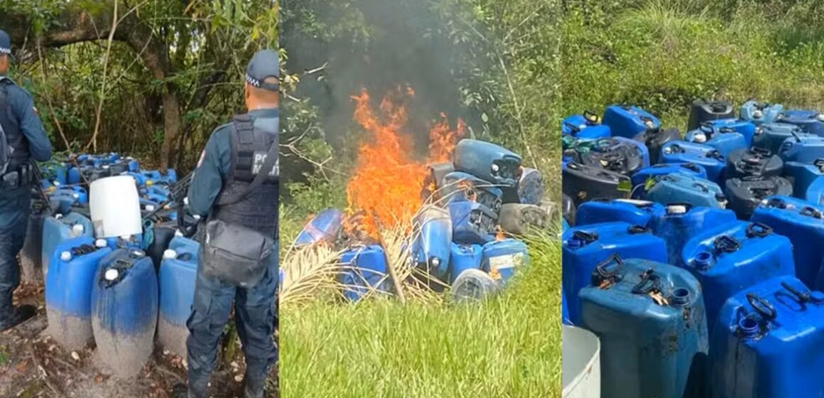 Polícia desmonta laboratório de drogas em fazenda no Marajó e prende suspeitos