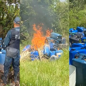 GERAL G1 - 1 Polícia desmonta laboratório de drogas em fazenda no Marajó e prende suspeitos