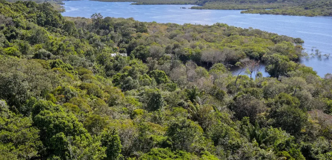 Fundo Amazônia quadruplica aprovações e alcança R$ 5,3 bilhões em doações