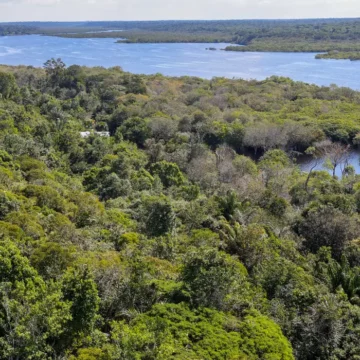 pzzb8371_0 Fundo Amazônia quadruplica aprovações e alcança R$ 5,3 bilhões em doações