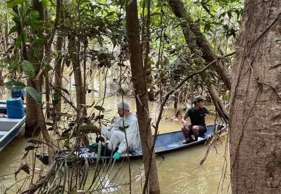 _12.06.2022_buscas_do_dom_e_bruno_na_amazonia20220614_0744 Site lançado por ONGs reúne e atualiza todas as informações sobre o caso Dom e Bruno